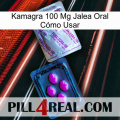 Kamagra 100 Mg Jalea Oral Cómo Usar 37